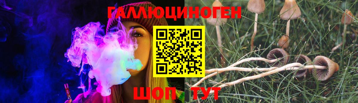 Новосибирск  Галлюциногенные грибы Magic Shrooms  хочу   Вход с VPN 