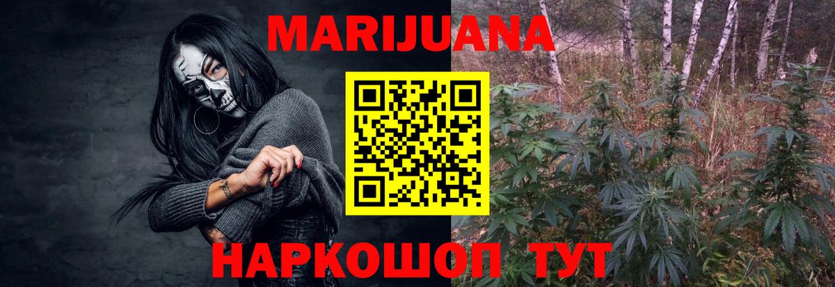 Канабис планчик  Конопля индика  Вход с VPN  Шишки марихуана конопля  Новосибирск 